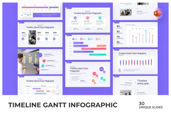 Timeline Gantt Chart Infographic